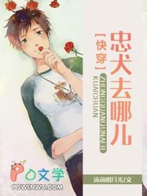 忠犬讲的是什么