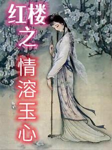 红楼梦之溶宠玉心