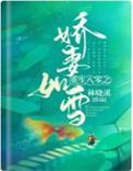 重生八零之改嫁隔壁老王