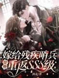 嫁给残疾哨兵带他重返sss级晋江
