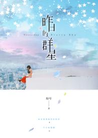 昨夜星辰原唱视频