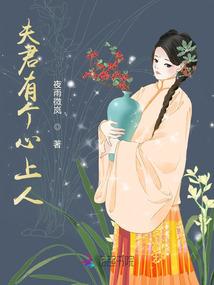 夫君有个心上人 夜雨微岚