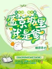 盛京城里我是爹 糖酒酒