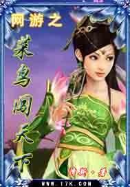 网游之菜鸟玩家怎么样