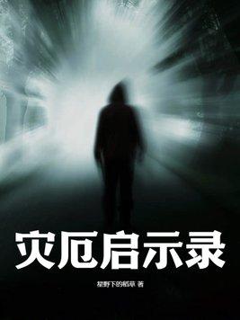 灾厄启示录武器词条