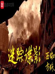 迷踪谍影TXT