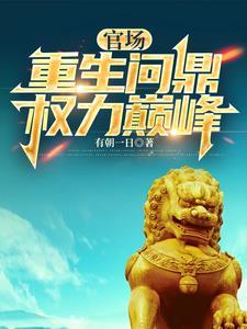 从基层到登顶的官场