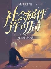 社会属性有什么