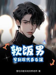 穿越年文小白脸