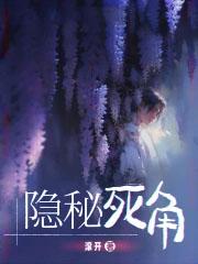 隐秘死角讲了什么