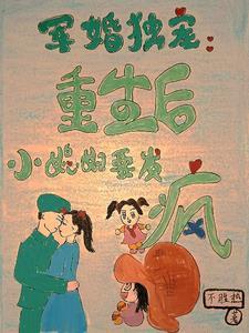 重生小军妻