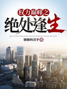 权力巅峰笔趣