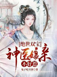 我的老婆是执政官起点中文正版
