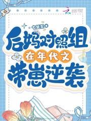 后妈年代文花花