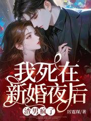 苏菀陆时晏苏宁安