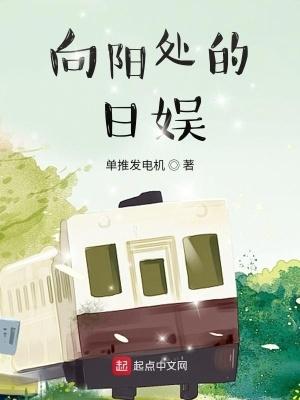 向阳处的日娱无防盗