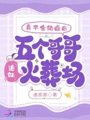 七个哥哥宠妹无度