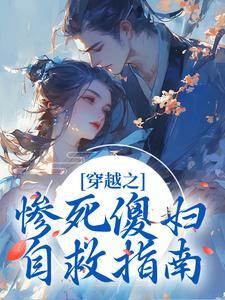 穿越之傻子王妃全文免费