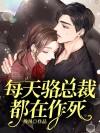 总裁每天都在真香