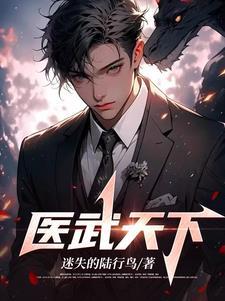 医武高手闯天下全文免费阅读