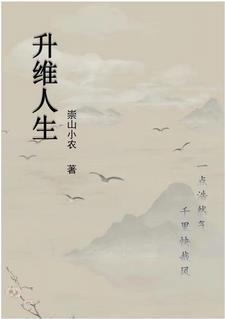 升维之旅不错