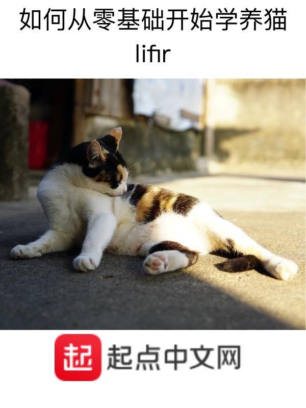 如何学会养猫