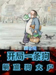 四合院开局坑惨傻住
