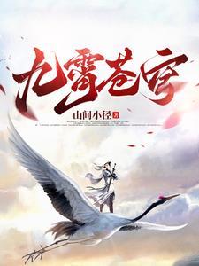 穹苍上九霄殿免费阅读