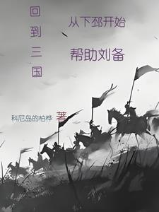 三国季汉刘璋免费阅读