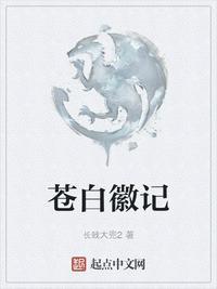 苍白4效果