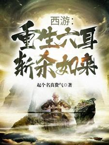 西游之六耳