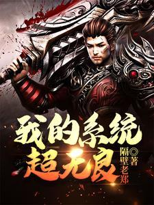系统之无良