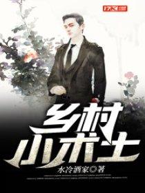 乡村小术士水冷酒家TXT电子书