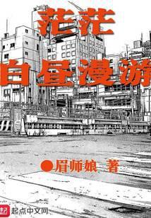 茫茫白昼漫游介绍