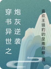 穿越炮灰逆袭记
