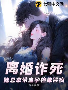 陆总夫人又离婚了