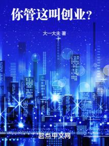 你管这叫创业无错版