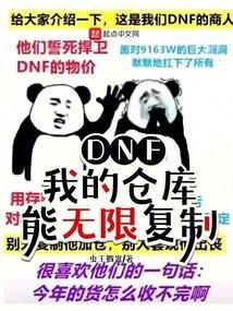 dnf我的仓库能无限复制无防盗