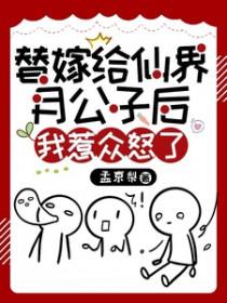 替嫁公主大全