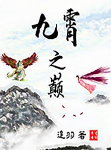 九霄之巅和神坛上的人区别