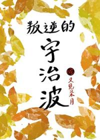火影里的叛忍