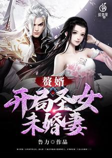 赘婿开局什么意思
