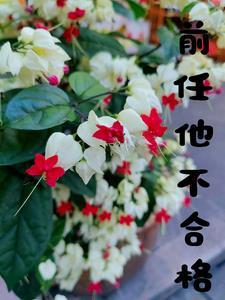 前任不通过好友申请怎么办