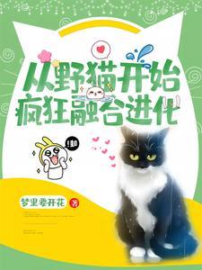 从猫开始无限进化