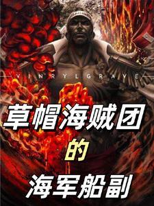 这个海贼不太冷txt