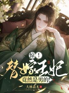 惊替嫁王妃竟是男子