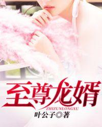 至尊龙婿叶辰萧初 然