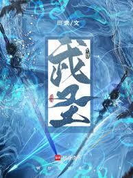 武圣三国破解版
