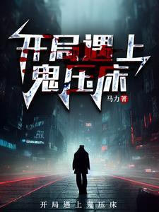 暗夜守护者1