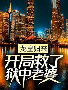 龙皇归来当奶爸